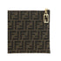 Fendi Clutch Bag